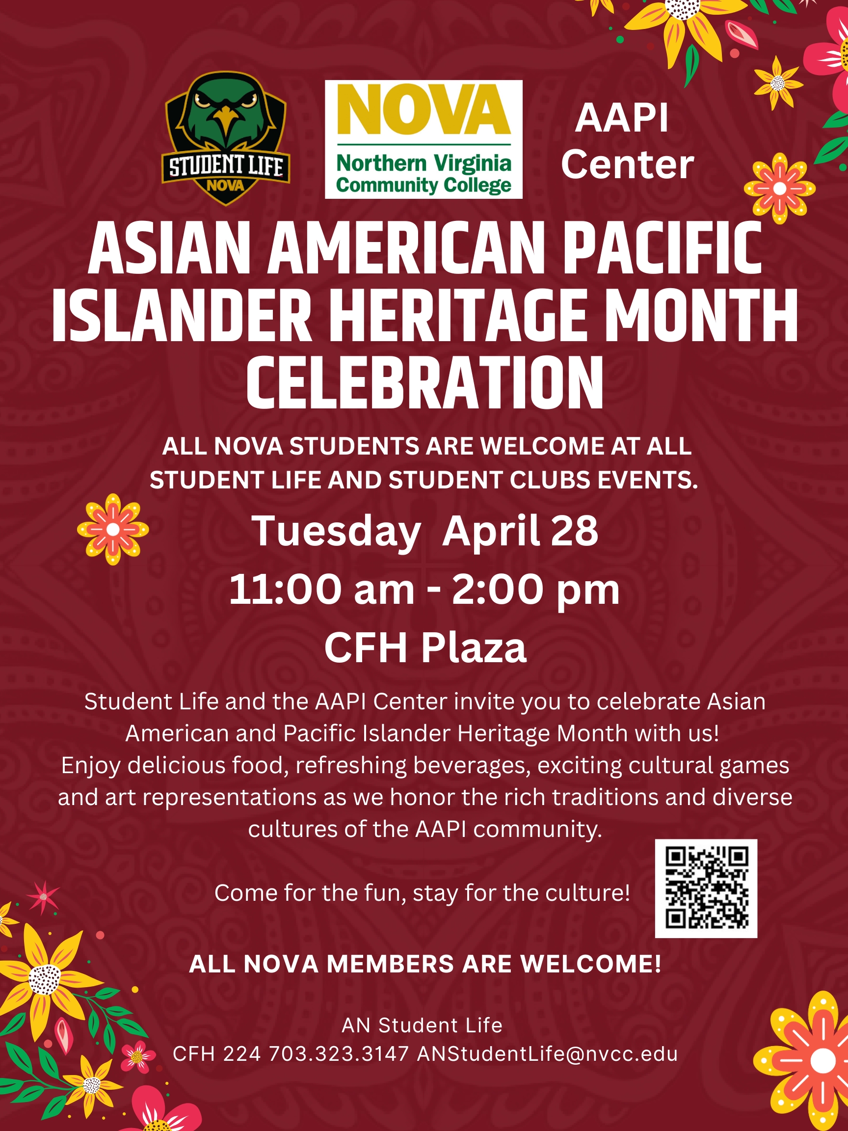 aapi flyer