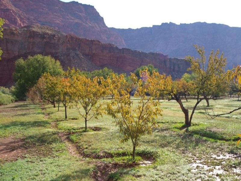 Lonely Dell (photo courtesy of National Park Service)