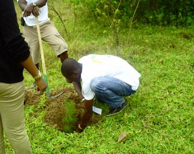 Nourdine Ouattara plants CCI Seeds with good intentions for the future in Cote d'Ivoire.