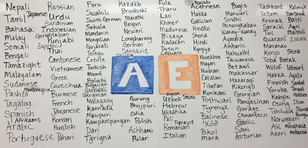 For Mother Language Day, American English collected over 200 mother languages and dialects during a Facebook Live session. CCI Program participants speak several of these languages. (Photo from American English at State)