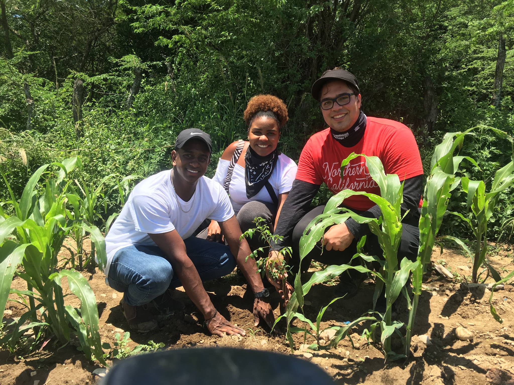 Dominican CCI alumni help plant 10,000 mahogany trees in San Juan.