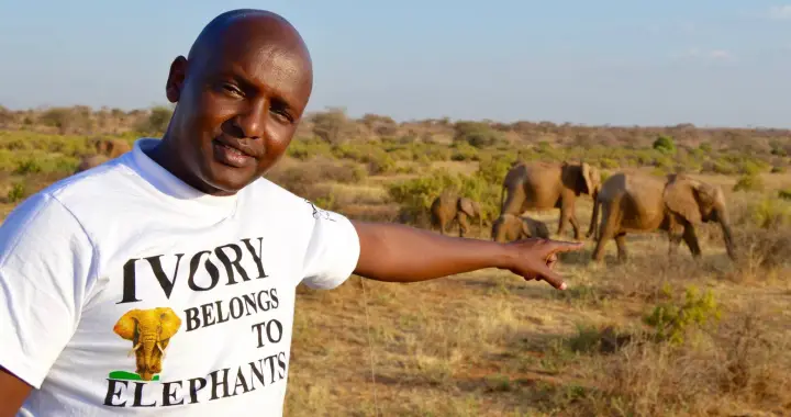 CCI alumnus Gilbert Sabinga Lekalau helps track elephants with Save the Elephants in Kenya
