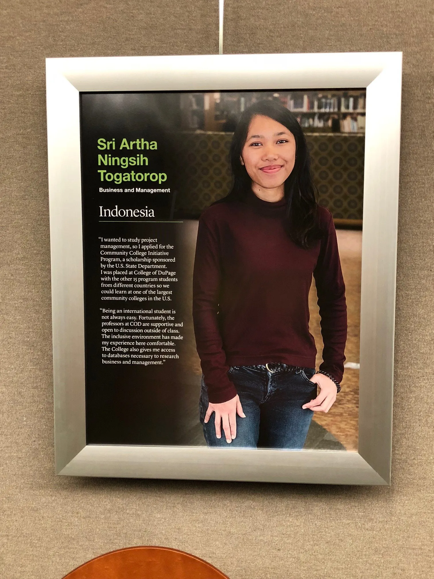 CCI-alumna-Sri-Artha-Ningsih-Togatorops-portrait-and-story-in-the-International-Hall-at-College-of-DuPage..webp