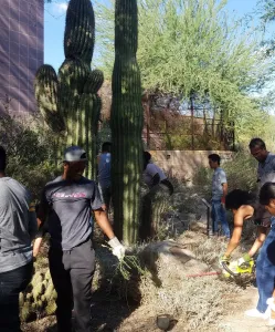 CCI participants at Scottsdale Community College cleaned the Peace Memorial Garden on campus in observance of 9/11 Day.