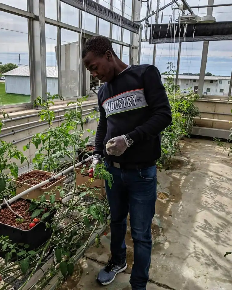 CCI participant Mithobisi Gwala from South Africa interned at the Kirkwood Community College greenhouse during his exchange year. His internship complemented his academic studies in agriculture at the college.