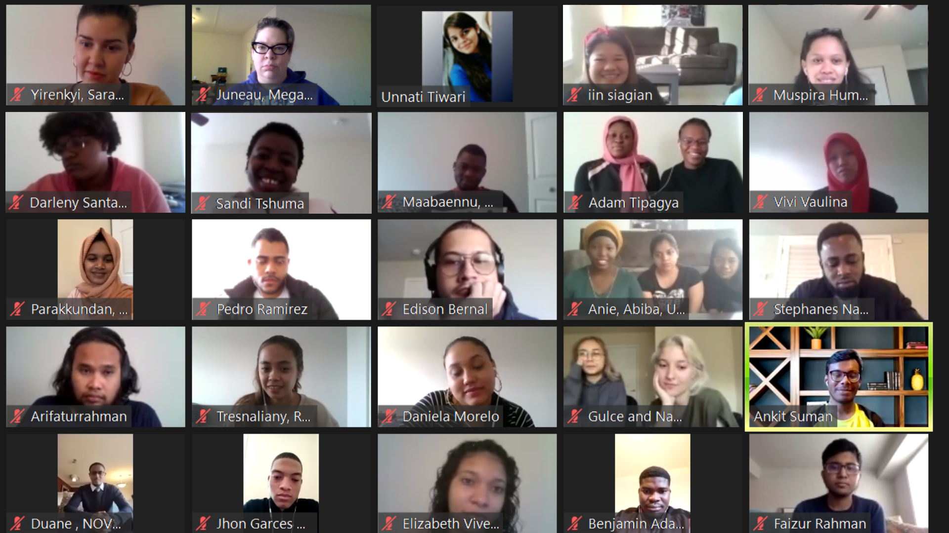 The 2020-2021 CCI cohort at Northern Virginia Community Colleges Annandale and Alexandria Campuses group photo over Zoom