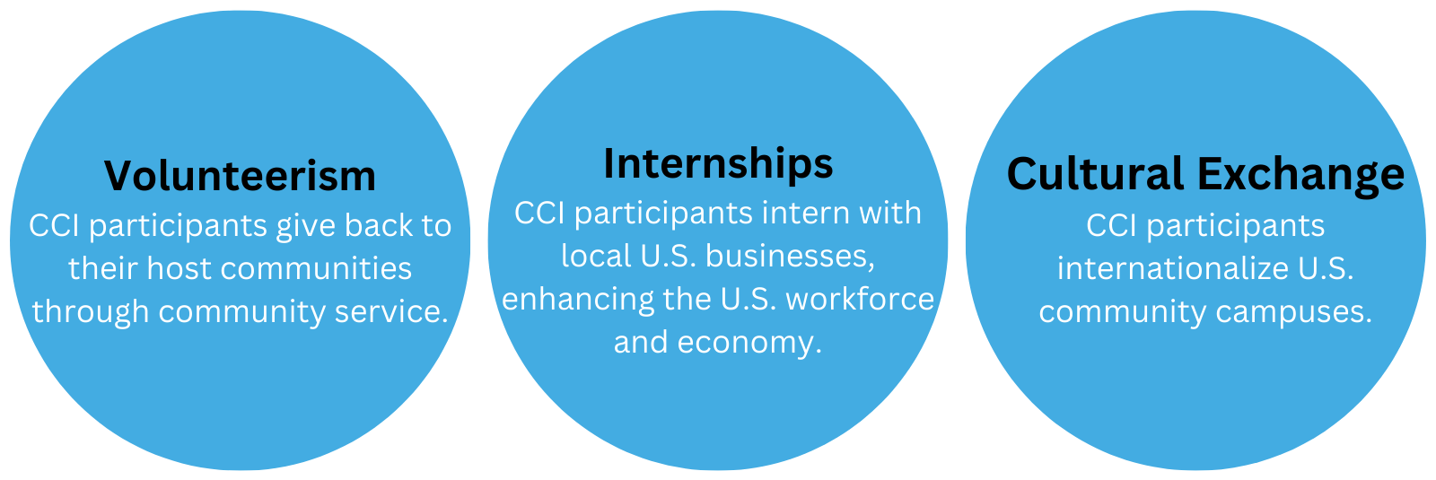 Volunteerism Internships Cultural Exchange Graphic