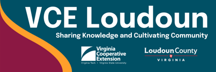 VCE Loudoun Logo