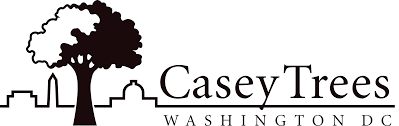 The Casey Trees Logo