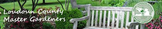 The Loudoun County Master Gardeners Association Symbol overlaying a picture of a garden with a bench