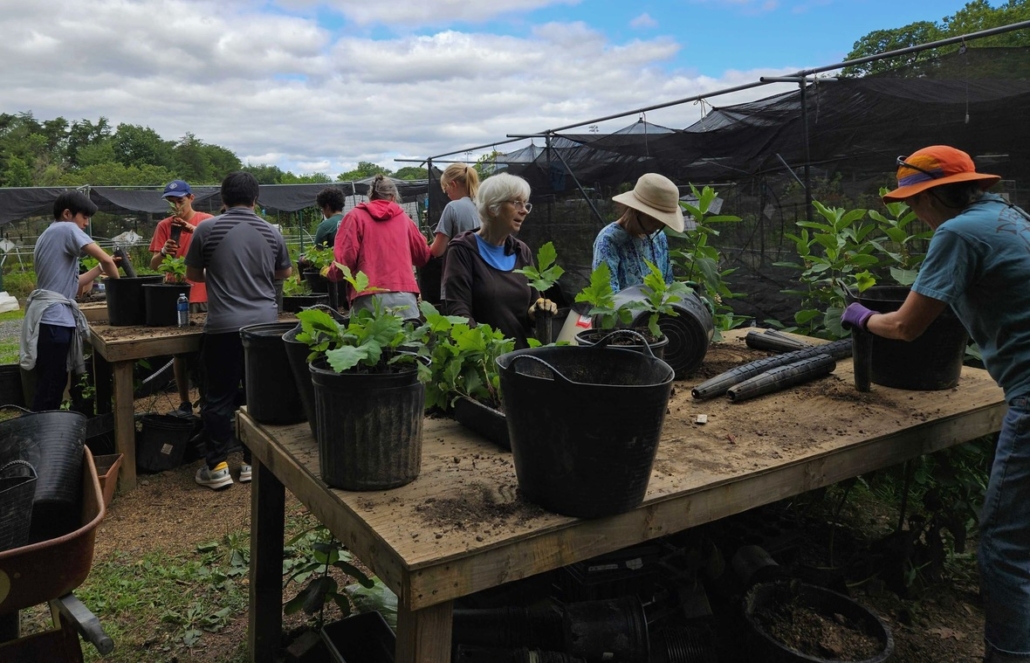 Earth Sangha Nursery Work