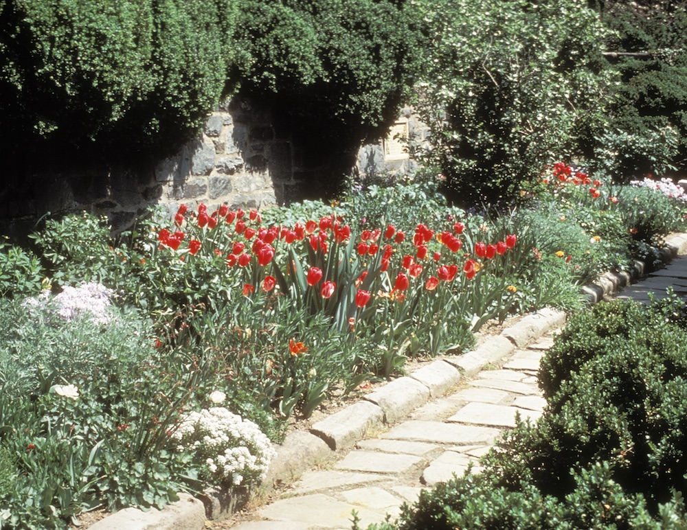 Bishop's Garden Perennial Border with Tulips